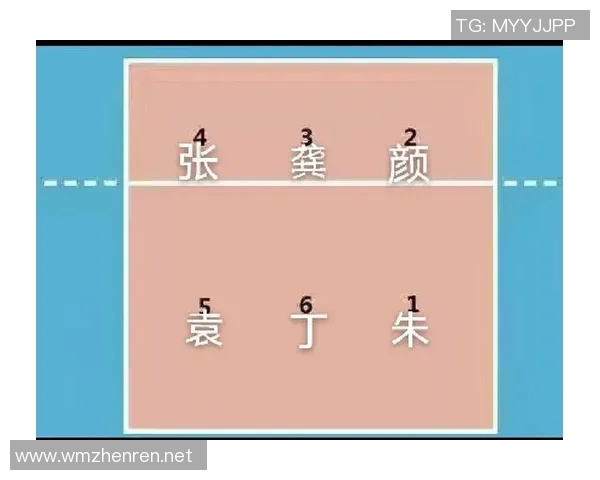 实时新闻排球盛宴深入分析西安排球队的战术配合与团队协作技巧