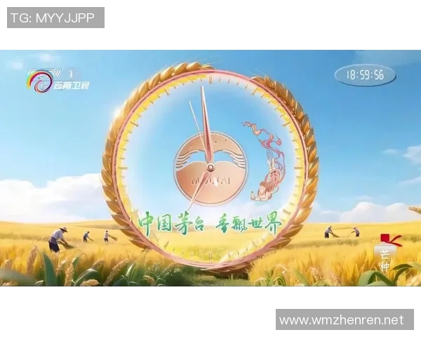 2026年3月份新闻广州极限运动嘉年华精彩回顾团队节奏与表现的完美交融